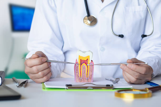 Best Emergency Dentist for Kids  in Port Reading, NJ